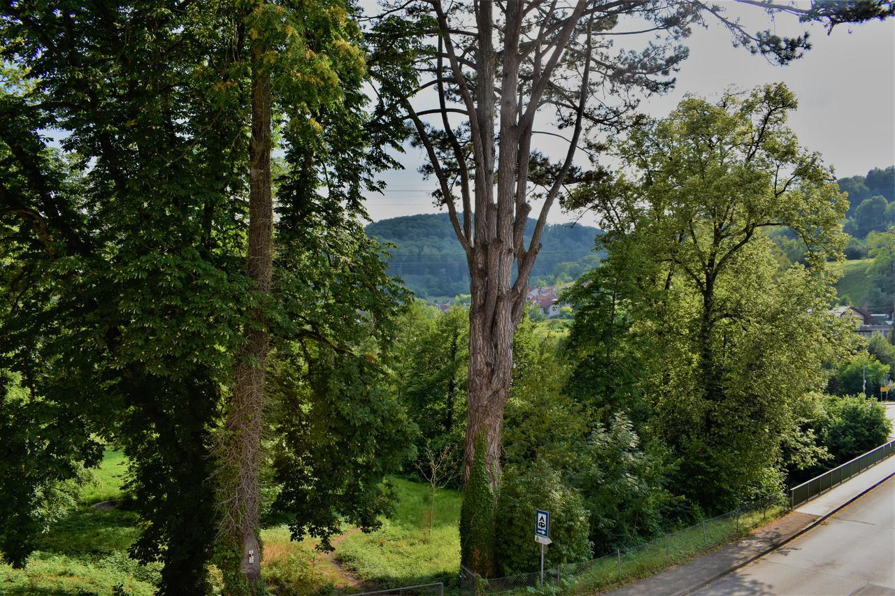 Bad Bruckhaus Erlebnishotel Waldshut-Tiengen Luaran gambar